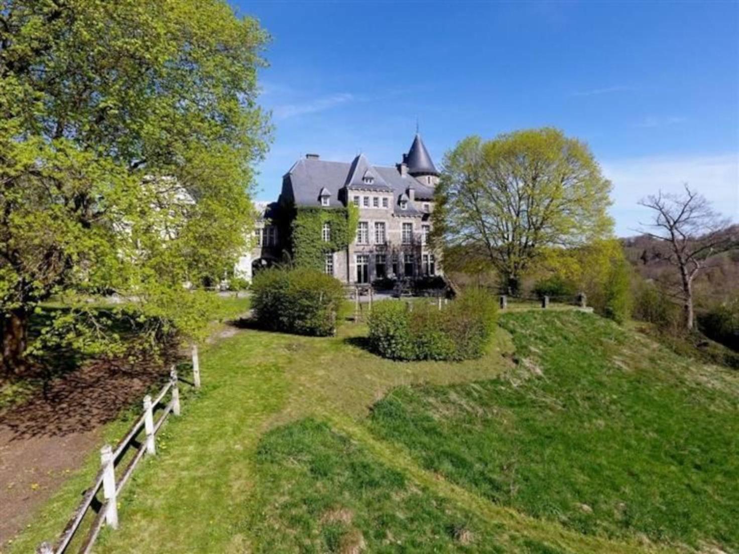הוילה ארזי Le Petit Chateau De Blier מראה חיצוני תמונה